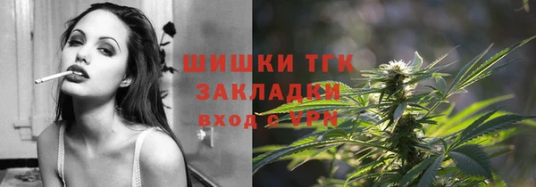 гашик Алексин