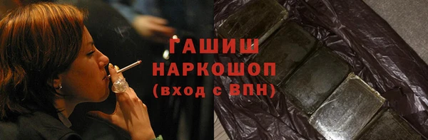гашик Алексин