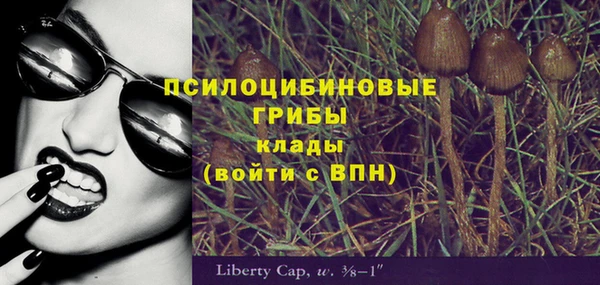 гашик Алексин
