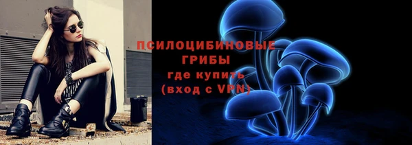 ALPHA-PVP Алексеевка