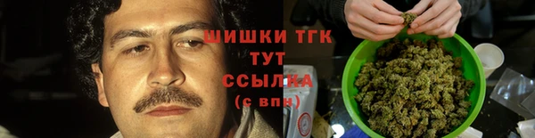 ГАЛЛЮЦИНОГЕННЫЕ ГРИБЫ Алзамай