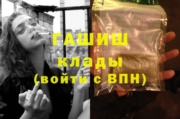 гашик Алексин