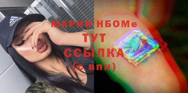 гашик Алексин