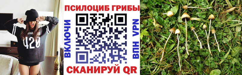 Галлюциногенные грибы мицелий  Арсеньев 